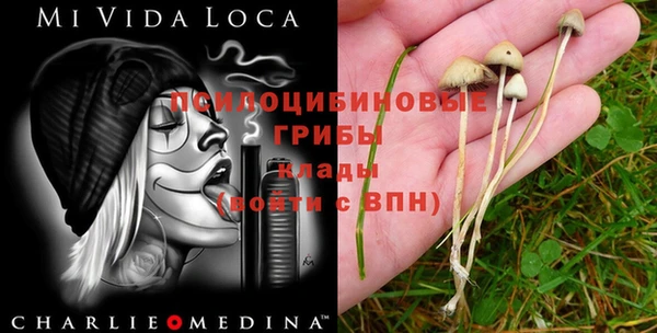 мяу мяу кристалл Алексин