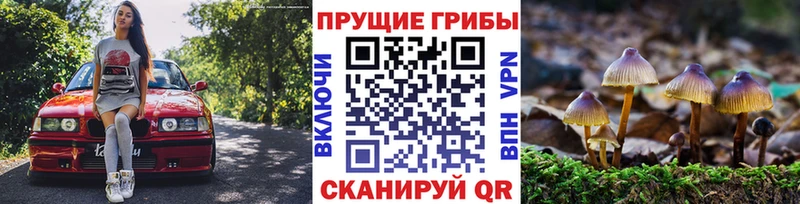 Псилоцибиновые грибы мицелий  Порхов 